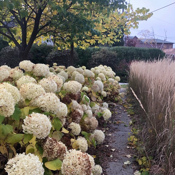 Meet your Posher, Sara - Picture 2 of 3